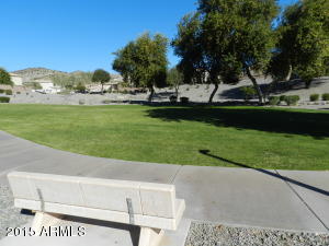 16403 S 2nd Pl, Phoenix, AZ 85048 photo 39