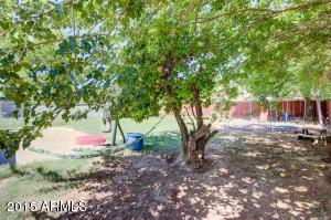 3409 N 43rd Pl, Phoenix, AZ 85018 photo 7