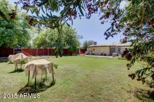 3409 N 43rd Pl, Phoenix, AZ 85018 photo 29