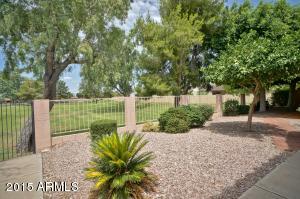 4906 E Brown Rd #17, Mesa, AZ 85205 photo 18