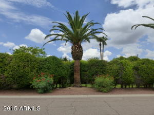 1618 E Montebello Ave, Phoenix, AZ 85016 photo 38