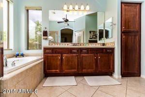 4258 E Dubois Ct, Gilbert, AZ 85298 photo 30