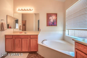 876 S Phelps Dr, Apache Junction, AZ 85120 photo 17