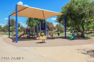 335 E Sagebrush St, Gilbert, AZ 85296 photo 40
