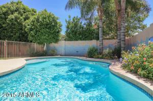 335 E Sagebrush St, Gilbert, AZ 85296 photo 33