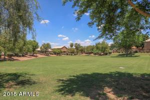 335 E Sagebrush St, Gilbert, AZ 85296 photo 41