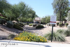 3363 Elgin St, Gilbert, AZ 85295 photo 19
