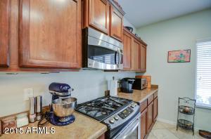 11047 E Stearn Ave, Mesa, AZ 85212 photo 9