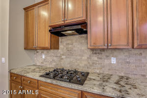 540 E Joseph Way, Gilbert, AZ 85295 photo 18