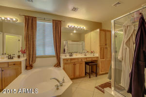4385 E Branded Ct, Gilbert, AZ 85297 photo 33