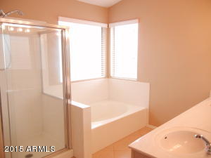 4337 E Badger Way, Phoenix, AZ 85044 photo 32
