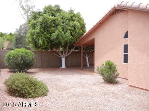 4337 E Badger Way, Phoenix, AZ 85044 photo 54