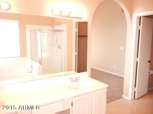 4337 E Badger Way, Phoenix, AZ 85044 photo 29