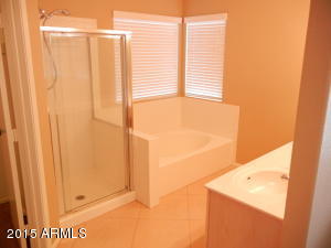 4337 E Badger Way, Phoenix, AZ 85044 photo 35