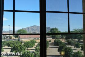 3215 E Sports Dr, Gilbert, AZ 85298 photo 10