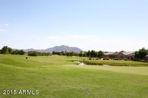 4541 E Blue Spruce Ln, Gilbert, AZ 85298 photo 45