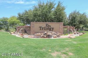 4541 E Blue Spruce Ln, Gilbert, AZ 85298 photo 41