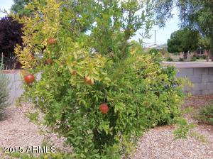 4228 N 4th Ave, Phoenix, AZ 85013 photo 37