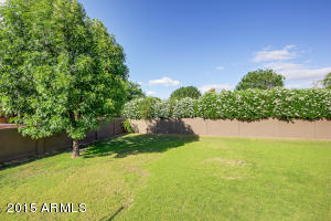 1036 El Freda Rd, Tempe, AZ 85284 photo 32