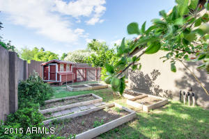 1036 El Freda Rd, Tempe, AZ 85284 photo 36