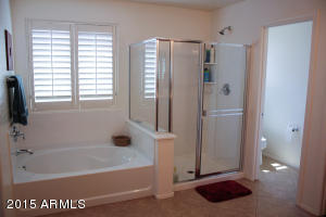 3110 E Regina St, Mesa, AZ 85213 photo 19