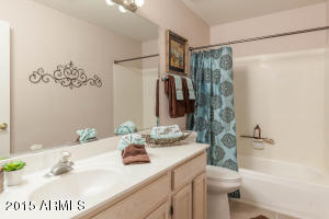 3026 E Verbena Dr, Phoenix, AZ 85048 photo 14
