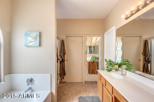 3585 E Caleb Way, Gilbert, AZ 85234 photo 21
