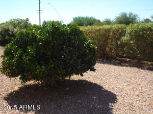7863 E Flossmoor Ave, Mesa, AZ 85208 photo 26