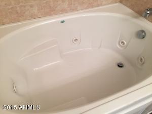 1975 E Ivanhoe St, Gilbert, AZ 85295 photo 38