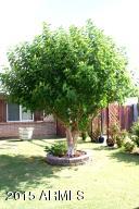 3108 W Juniper Ave, Phoenix, AZ 85053 photo 5