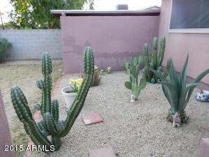 4123 E Bluefield Ave, Phoenix, AZ 85032 photo 31