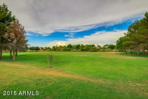 1318 E San Angelo Ave, Gilbert, AZ 85234 photo 44