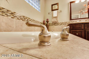 8547 E Gary St, Mesa, AZ 85207 photo 52