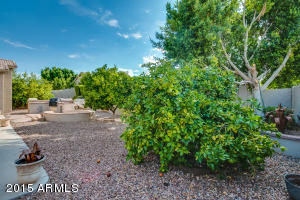1445 N Bernard Cir, Mesa, AZ 85207 photo 49