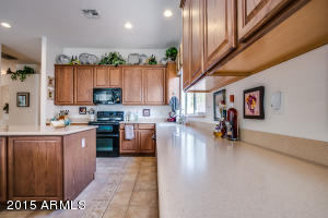 1445 N Bernard Cir, Mesa, AZ 85207 photo 39
