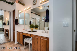 1445 N Bernard Cir, Mesa, AZ 85207 photo 20