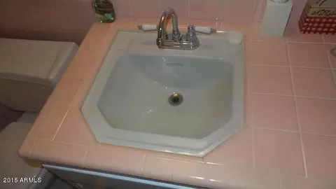 3125 E Grovers Ave, Phoenix, AZ 85032 photo 64