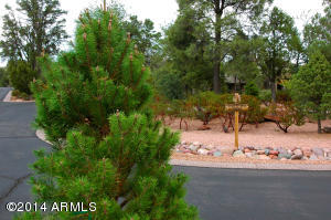1004 W Knotty Pine Cir, Payson, AZ 85541 photo 2