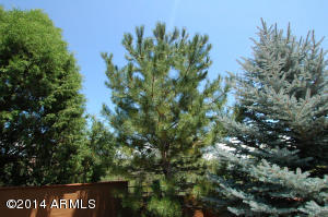 1004 W Knotty Pine Cir, Payson, AZ 85541 photo 19