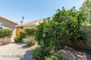 4641 E Robert E Lee St, Phoenix, AZ 85032 photo 21