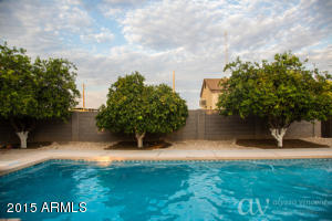 2356 E Willis Rd, Gilbert, AZ 85297 photo 23