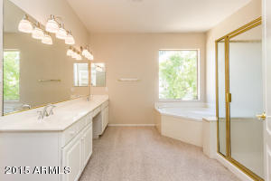 1727 E Cortez Dr, Gilbert, AZ 85234 photo 17