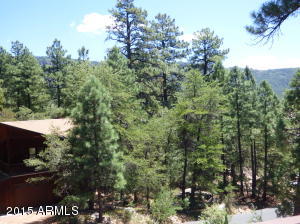 5346 N Trails End Dr, Pine, AZ 85544 photo 3