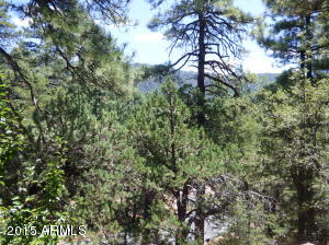 5346 N Trails End Dr, Pine, AZ 85544 photo 4