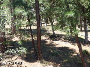 5346 N Trails End Dr, Pine, AZ 85544 photo 22