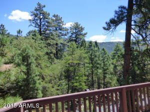 5346 N Trails End Dr, Pine, AZ 85544 photo 2