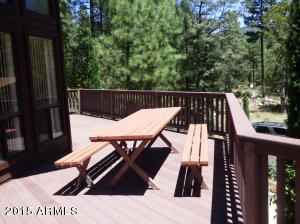 5346 N Trails End Dr, Pine, AZ 85544 photo 5
