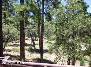 5346 N Trails End Dr, Pine, AZ 85544 photo 20