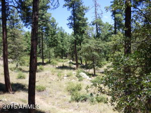 5346 N Trails End Dr, Pine, AZ 85544 photo 21