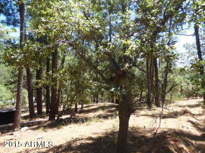 5346 N Trails End Dr, Pine, AZ 85544 photo 19